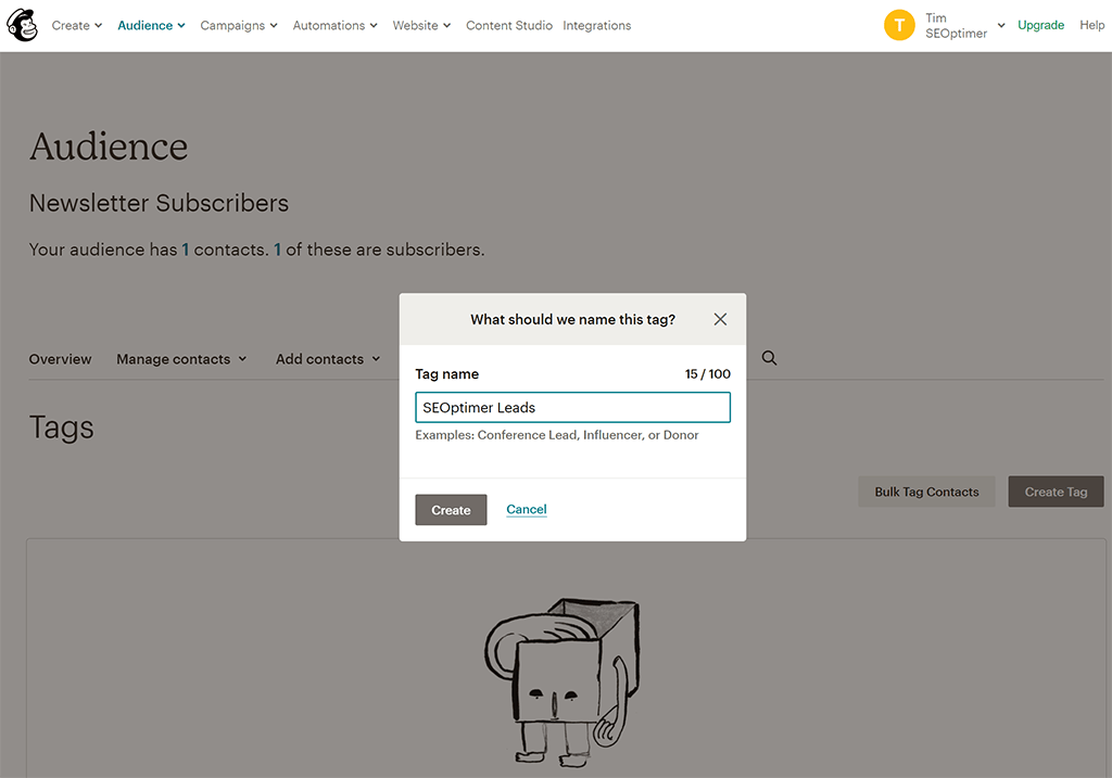 Mailchimp new tag